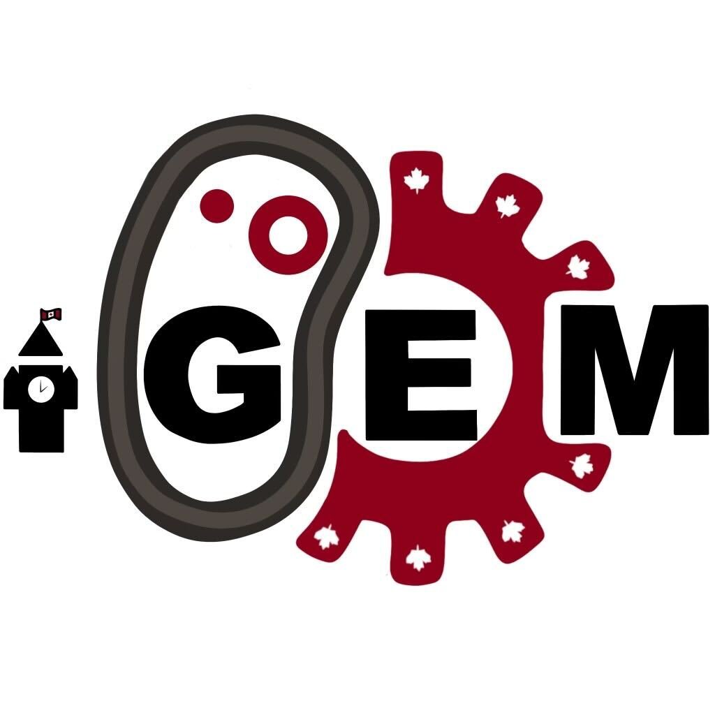 iGEM